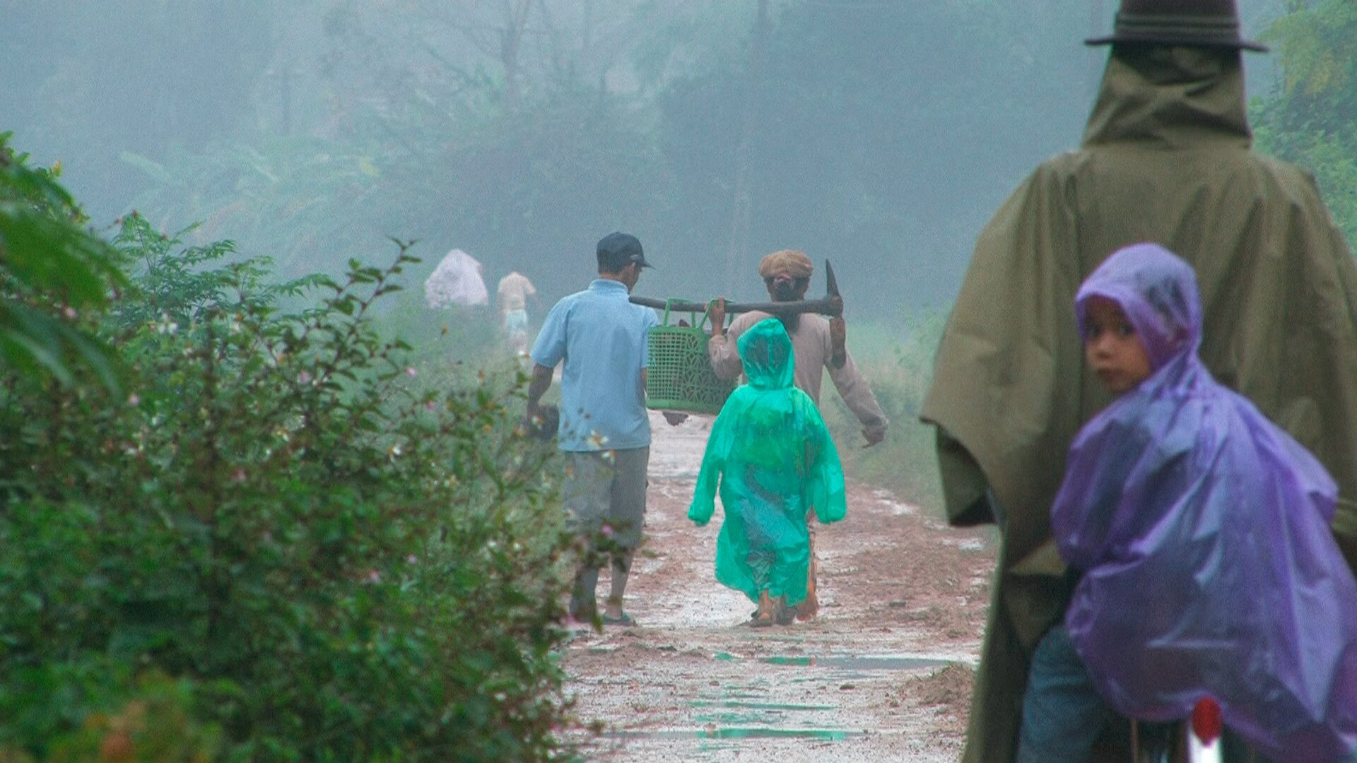 En savoir plus sur Jours de pluie