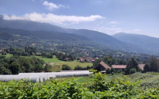 Lire l'article :  Ferme du Loutas : création d&rsquo;un espace de stockage réfrigéré avec une zone de lavage de légumes